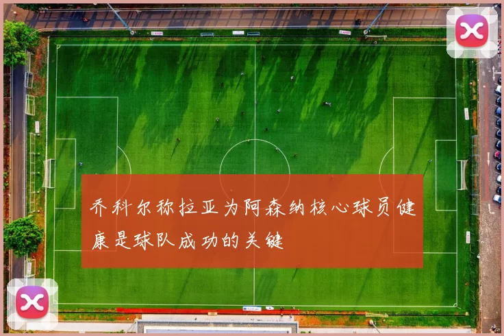 乔科尔称拉亚为阿森纳核心球员健康是球队成功的关键